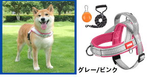 pR ybgTh^n[lX hЂ VoCkErVt[[E^p OybgRG002