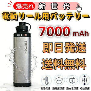 電動 リール セット」の人気商品一覧 | 安い商品を通販サイトから探す 