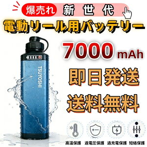 電動 リール セット」の人気商品一覧 | 安い商品を通販サイトから探す 