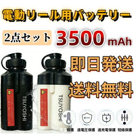 電動リール バッテリー 2個セット 3500mAh 14.8V リチウムイオン 充電器付き ダイワ・シマノ対応 互換バッテリー