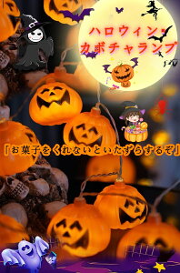 nEB  LED J{` XgO Cg K[h  O  ڂ J{`  RE d t V ݂艺 K[h C~l[V I[ig d