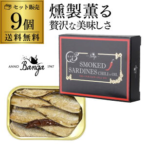 y1ʂ450~ lCʋlzoK X[NICT[fB  ` 100g×9 ʂ ̂܂ ̂܂ ̂ ̂ S