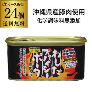 10/18限定P3倍 (倉庫入れ替えのため訳あり2000円引 14000円→12000円) 沖縄ホーメル わしたスパイシーポーク 200g 24缶 島唐辛子使用 化学調味料不使用 RSL