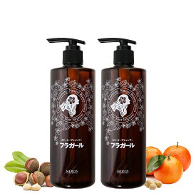 【公式】フラガール カラーキープシャンプー2本セット カラーケア 色落ち防止 ノンシリコン ダメージケア アミノ酸 保湿 ツヤ髪