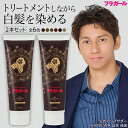 白髪染め カラートリートメント【公式】フラガール カラートリートメント同色2本セット あす楽 白髪 白髪染め 白髪ぼかし ヘアカラー 全体染め 部分染め 毛染め 無添加 ノンジアミン ノンパラベン ノンシリ ノンアルコール 女性用 男性用 ボタニカル オーガニック SHOW-WA