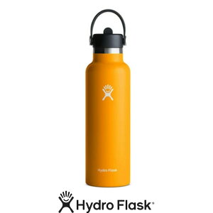 nChCV X^_[h}EX tbNXXg[ 621ml 890114