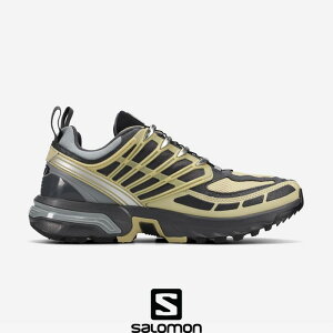 SALOMON�i�T�������jACS PRO GTX�@L47867000�@�X�|�[�c�X�^�C���V���[�Y�@�X�j�[�J�[�@�C�@GRAY GREEN/ASPHALT/MONUMENT
