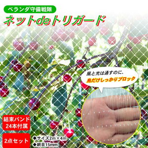 �yP2�{�z�y�u2m×4m�v×2�_�Z�b�g�z �n�g�E�J���X�N�����u���b�N�I �x�����_�h�q��� �l�b�gde�g���K�[�h �y�ʁE�ȒP�ݒu�^�C�v �����o���h24�{�t�� ���悯�l�b�g �Ԗ�15mm ���悯 �� �h���l�b