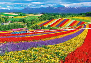 y{zro[ 1000}CNs[X WO\[pY l̉ԍ炭ui26×38cmj1000M-014