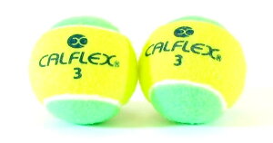 TNCf(SAKURAI) CALFLEX(JtbNX) d ejX{[ mvbV[ 2 LB-450