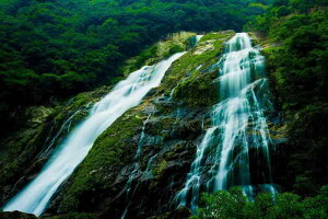 ND ^yXg[ v EY R ؘR v  CeA ǖ  ܂G i iF i 唻 傫   t G v[g wiz  CX^f zoom