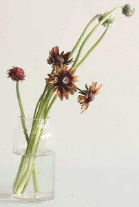 FOYER ԕr t[x[X KX  18 cm  7.5 cm  2600066