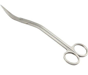 yPOSITIVEz Iׂ  g~O Zbg sZbg O TCY i 27cm / 38cm / 48cm j g~O nT~ ANAE  | c[ t