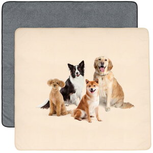  Lp􂦂ybgV[c pbh ybgp ~ }bg  ~߉H V[c @Ŋې JԂp\