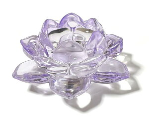 LhX^h @̉ KX NX^ J[ Lhz_[ C 낤