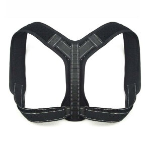 Rose Lwxg jp t[TCY ߉\ ʋC ȒP qlp ˃e[vt