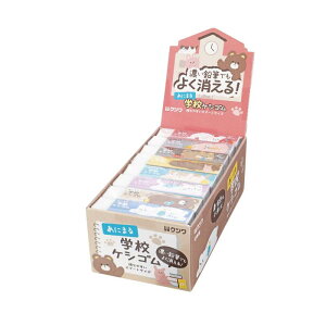 Nc S ɂ܂wZPVS 24pbN RE049-24P