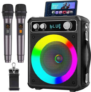 VOSOCO 家庭用 カラオケマイク 拡声器