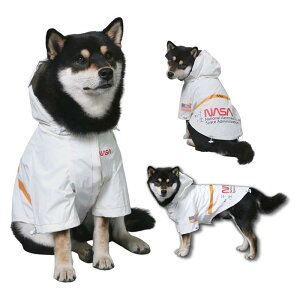 REEYAM CR[g hbOEFA ̕ pH ^ ^ ^ ˌ ~J΍ EȒP ʋC y K h h