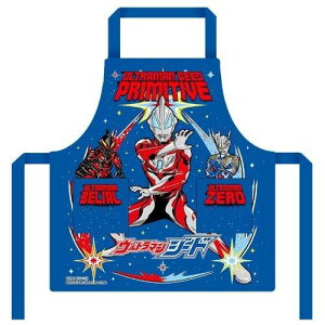 Gv o_C 01020-18 Eg}W[h lCr[ qp 110cm