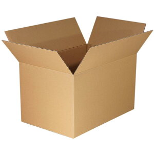 ディズプラス(Diz+) 日本製 ダンボール 140サイズ 取っ手穴付き 段ボール 引っ越し 140 二つ折りたたみ配送品