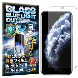 RISE tB KXtB u[CgJbg 93% iPhone 11 Pro/XS/X p یtB  KX ߗ99%  { Ɏq dx9H 2.5DEhGbW z CA[ Uh~ w