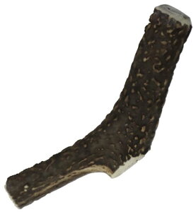 ybgt[h ̊p yY Yz  ނ Y  Y  p K f^PA