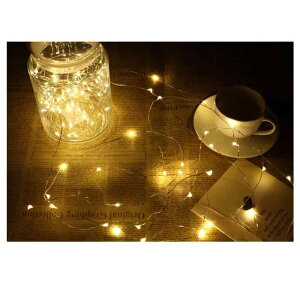 C~l[V LED CgC[CgdrtFA[Cg1m 10LED dF NX}X p  p[eB[ Cg NX}Xc[d