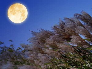 ND タペストリー 月 満月 秋 大きい 自然 風景 十五夜 中秋 月見 飾り インテリア 夜景 紅葉 背景 背景布