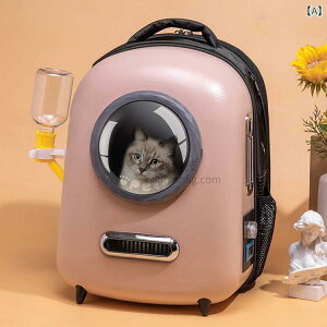 ybgL[ ybgobO L 킢  ʋC I[V[Y  2024 V^ ybg obO F  ybg obO L obOe K  ybg hZx3