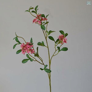  CeA u[P ԑ tFCNt[ A[eBtBVt[ p `[bv  DIY p[eB[ Be p z[ 뉀 Lb` ItBX i p[eB[  