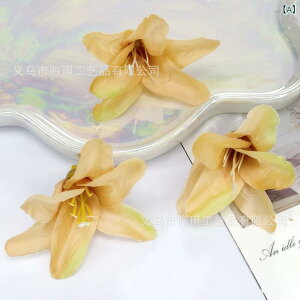  CeA u[P ԑ tFCNt[ A[eBtBVt[ p `[bv  DIY p[eB[ Be p z[ 뉀 Lb` ItBX i p[eB[  