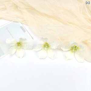  CeA u[P ԑ tFCNt[ A[eBtBVt[ p `[bv  DIY p[eB[ Be p z[ 뉀 Lb` ItBX i p[eB[  