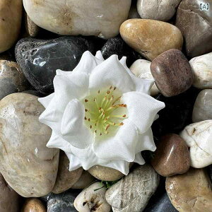  CeA u[P ԑ tFCNt[ A[eBtBVt[ p `[bv  DIY p[eB[ Be p z[ 뉀 Lb` ItBX i p[eB[  