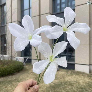  CeA u[P ԑ tFCNt[ A[eBtBVt[ p `[bv  DIY p[eB[ Be p z[ 뉀 Lb` ItBX i p[eB[  