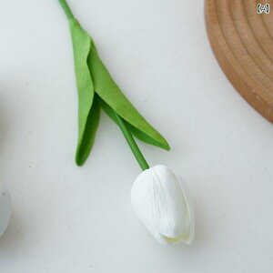  CeA u[P ԑ tFCNt[ A[eBtBVt[ p `[bv  DIY p[eB[ Be p z[ 뉀 Lb` ItBX i p[eB[  