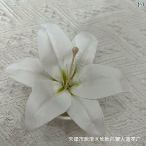  CeA u[P ԑ tFCNt[ A[eBtBVt[ p `[bv  DIY p[eB[ Be p z[ 뉀 Lb` ItBX i p[eB[  