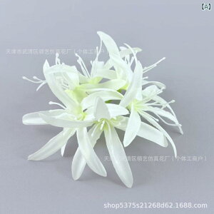  CeA u[P ԑ tFCNt[ A[eBtBVt[ p `[bv  DIY p[eB[ Be p z[ 뉀 Lb` ItBX i p[eB[  