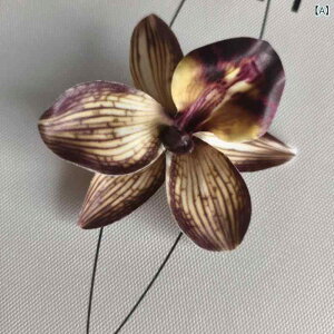  CeA u[P ԑ tFCNt[ A[eBtBVt[ p `[bv  DIY p[eB[ Be p z[ 뉀 Lb` ItBX i p[eB[  