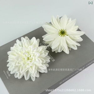  CeA u[P ԑ tFCNt[ A[eBtBVt[ p `[bv  DIY p[eB[ Be p z[ 뉀 Lb` ItBX i p[eB[  