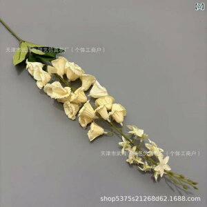  CeA u[P ԑ tFCNt[ A[eBtBVt[ p `[bv  DIY p[eB[ Be p z[ 뉀 Lb` ItBX i p[eB[  