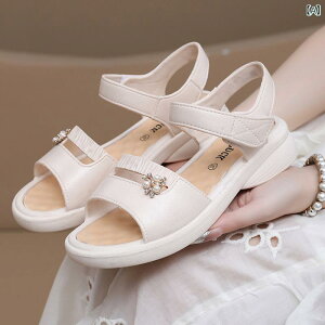 T_ fB[X  ėp ₷ ɂ p T_ Ă X^C _炩  ~ߔ   ؂ Vv r[` V[Y