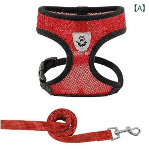 ʋC bV xXg^n[lX [h  Lp ybg [h xXg X^C  L n[lX ^    [h  [h pi