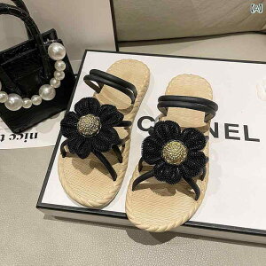 fB[X gOT_ r[`T_ X|[cT_ K seBX jO v[g p T_ ؂ lbg r[` t@bV ؍ c[ EFA  Xbp 