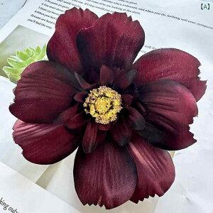  CeA u[P ԑ tFCNt[ A[eBtBVt[ p `[bv  DIY p[eB[ Be p z[ 뉀 Lb` ItBX i p[eB[  