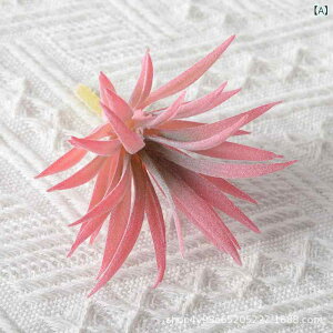  CeA u[P ԑ tFCNt[ A[eBtBVt[ p `[bv  DIY p[eB[ Be p z[ 뉀 Lb` ItBX i p[eB[  