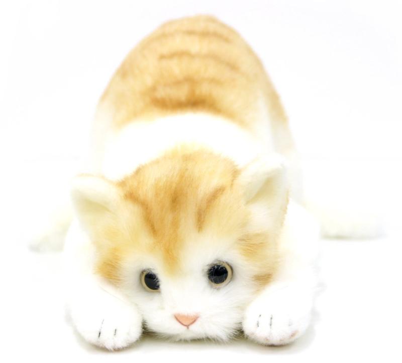楽天市場】日本製 リアルな猫のぬいぐるみ 58cm : 新風堂