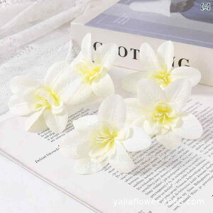  CeA u[P ԑ tFCNt[ A[eBtBVt[ p `[bv  DIY p[eB[ Be p z[ 뉀 Lb` ItBX i p[eB[  