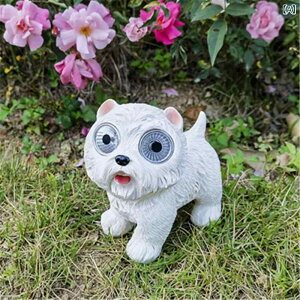 K[f   u IuWF CeA I[ig O 뉀 V~[V   _  q ̂ z  u