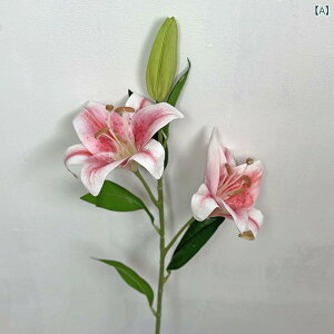  CeA u[P ԑ tFCNt[ A[eBtBVt[ p `[bv  DIY p[eB[ Be p z[ 뉀 Lb` ItBX i p[eB[  